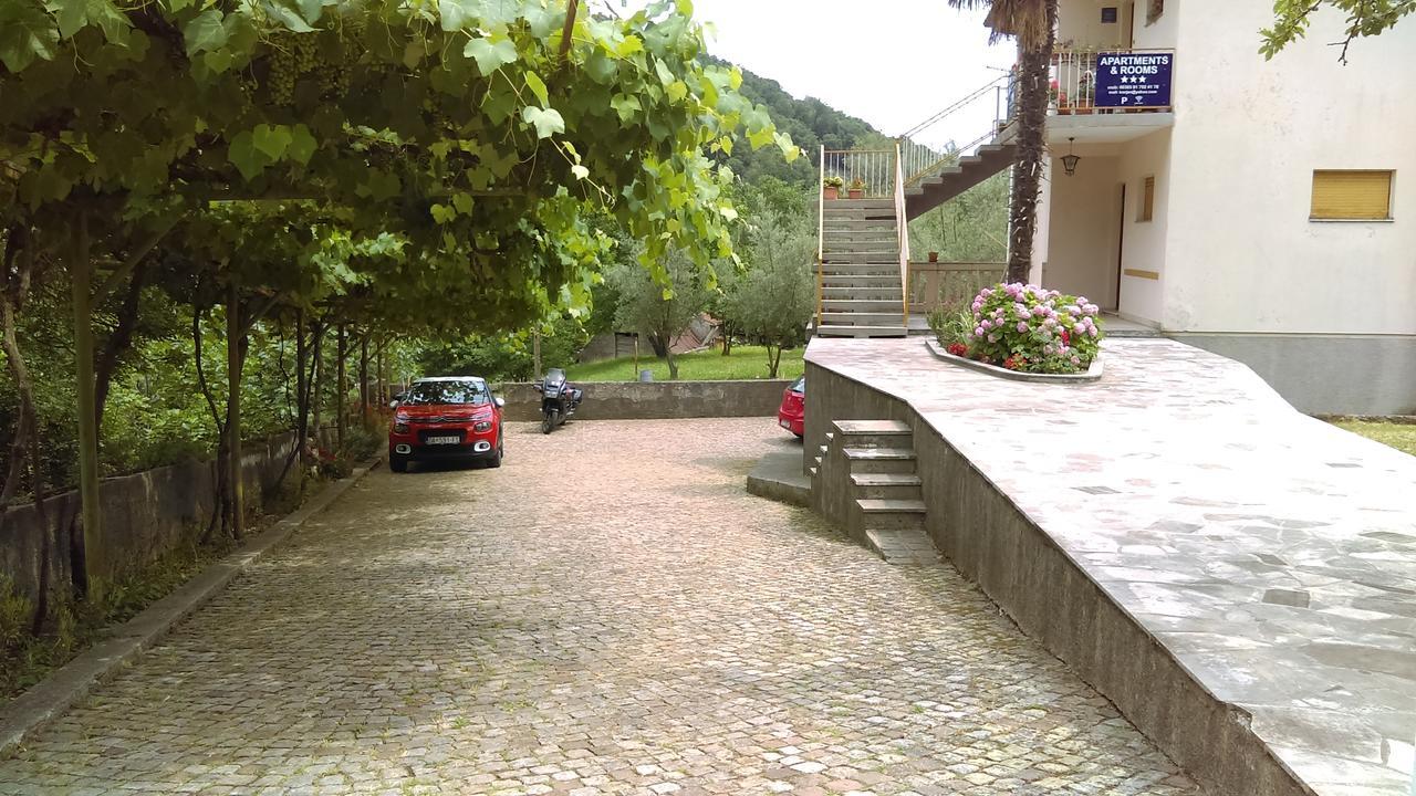 Apartmán Jovich 1 *